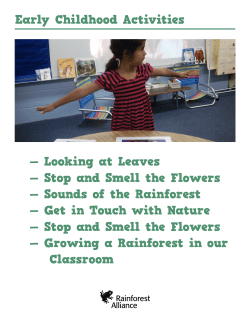 Looking at Leaves &mdash; Stop and Smell the Flowers