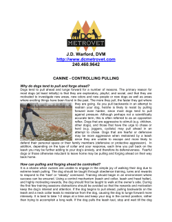 Controlling Pulling Going for a Controlled Walk