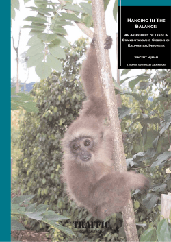 Hanging in the Balance: An Assessment of Trade in Orang
