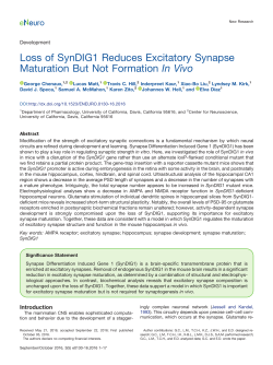 Loss of SynDIG1 Reduces Excitatory Synapse Maturation