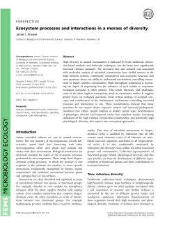 Ecosystem processes and interactions in a morass of diversity