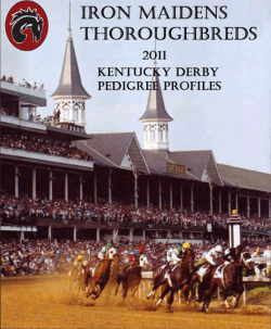 2011 Kentucky Derby Pedigree Profiles EBook