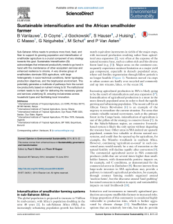 Sustainable intensification and the African smallholder farmer