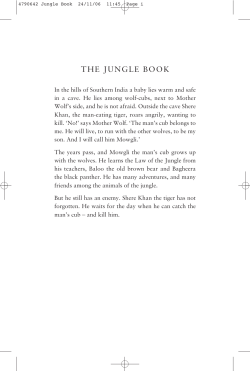 4790642 Jungle Book