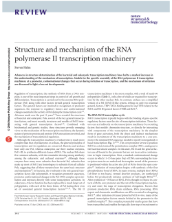 Hahn S (2004) Structure and mechanism of the RNA polymerase II