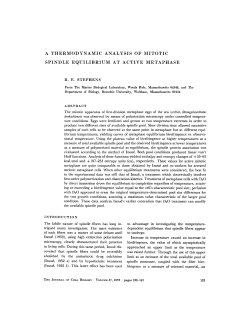 a thermodynamic analysis of mitotic spindle
