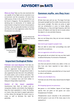 Advisory on Bats.