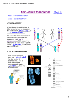 Lesson 07 - Sex-Linked Inheritance.notebook