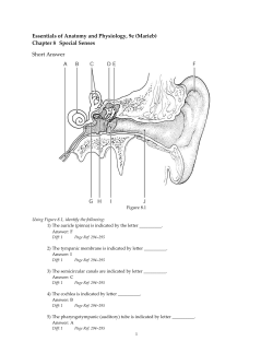 Essentials of Anatomy and Physiology, 9e (Marieb)