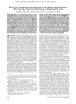 Retroviral Transduction and Expression of the