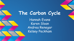 The Carbon Cycle