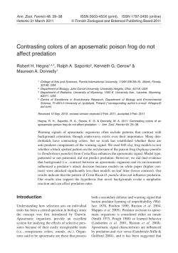 Contrasting colors of an aposematic poison frog do not affect