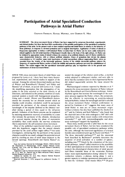 Participation of Atrial Specialized Conduction Pathways in Atrial Flutter