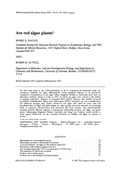 Are red algae plants
