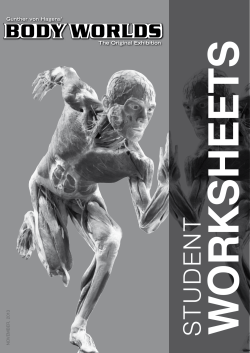 EU version - Bodyworlds