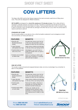 11 Cow lifters Fact Sheet