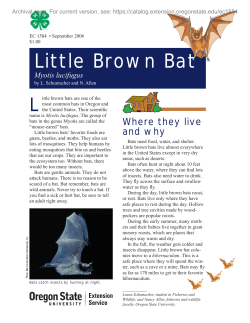 Little Brown Bat, Myotis lucifugus, EC 1584 (Oregon State University