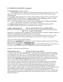 B. NUTRITIONAL DIVERSITY (continued) 3. Chemoautotrophs