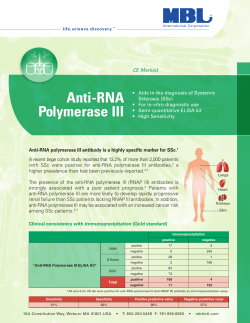 Anti-RNA Polymerase III
