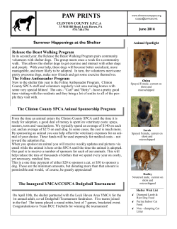 paw prints - Clinton County SPCA
