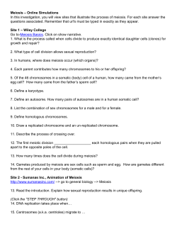 Meiosis &ndash; Online Simulations In this investigation, you will view sites