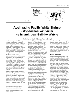 acclimating pacific white shrimp to inland, low