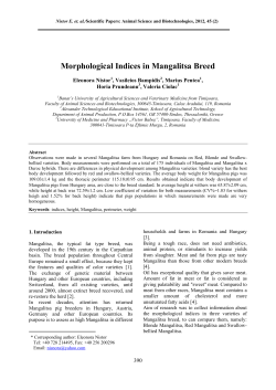 Morphological Indices in Mangalitsa Breed
