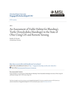 An Assessment of Viable Habitat for Blanding`s Turtle (Emydodidea