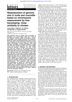 Reassessment of genome size in turtle and crocodile based on