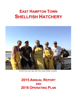shellfish hatchery - East Hampton Town Trustees
