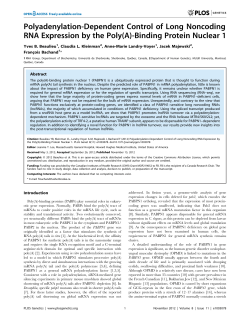 Polyadenylation-Dependent Control of Long Noncoding RNA