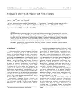 Changes in chloroplast structure in lichenized algae