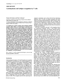 Carbohydrates and antigen recognition by T cells