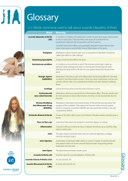 Glossary