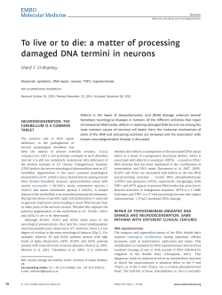 To live or to die: a matter of processing damaged DNA termini in