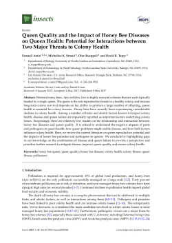 Queen Quality and the Impact of Honey Bee Diseases on Queen