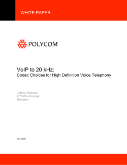 Codec Choices for High Definition Voice Telephony: VoIP to 20 kHz