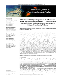 Mitochondrial COI gene Sequence of giant freshwater prawn