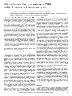 Effects of muscle fiber type and size on EMG