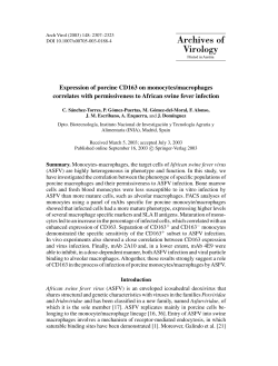 Expression of porcine CD163 on monocytes/macrophages