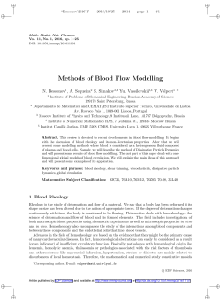 Methods of Blood Flow Modelling