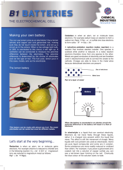 B1 - The Electrochemical Cell