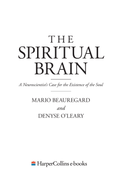 Spiritual Brain - Thedivineconspiracy.org
