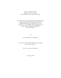The Protein synthesis spectrum during the induction phase of