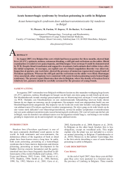 Acute hemorrhagic syndrome by bracken poisoning in cattle in