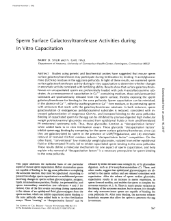 Sperm Surface Galactosyltransferase Activities during In Vitro