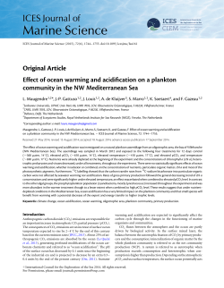 Effect of ocean warming and acidification on a plankton community