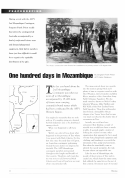 Priest, Frank --- "One hundred days in Mozambique" [1995