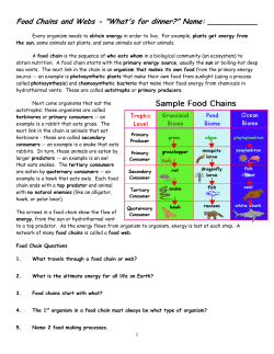 Food Chains and Webs