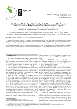 Identification of Bovine, Pig and Duck Meat Species in Mixtures and